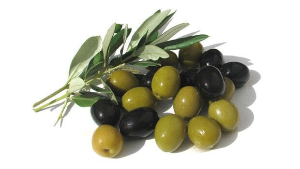 Zeytin Yetiştiriciliğinde Başarı Rehberi.