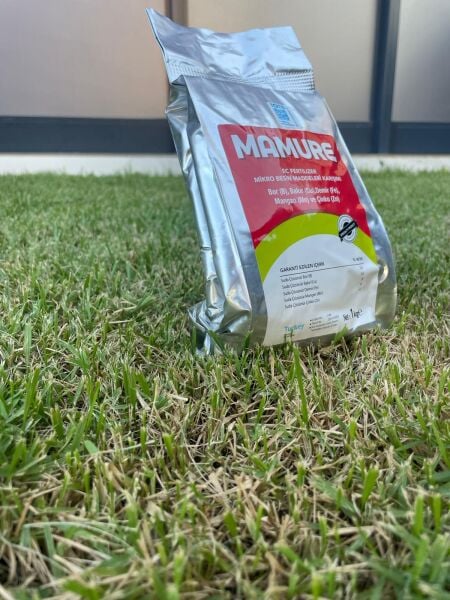 Mamure  1 KG  (izelement)