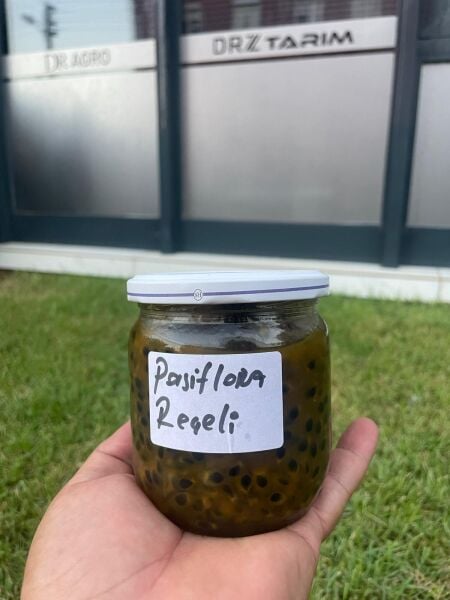 Doğal Pasiflora Reçeli 400cc