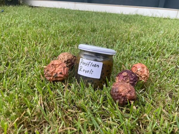 Doğal Pasiflora Reçeli 400cc