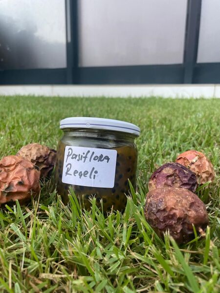 Doğal Pasiflora Reçeli 400cc