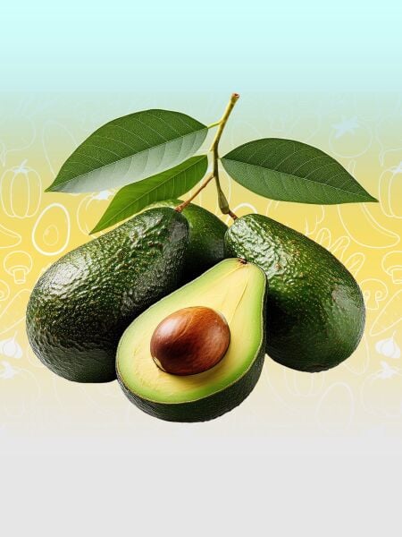 Yeni Hasat Orta Boy Avokado 5 Kg