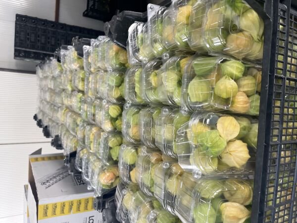 Altın Çilek Yer Kirazı 500 GR Meyve