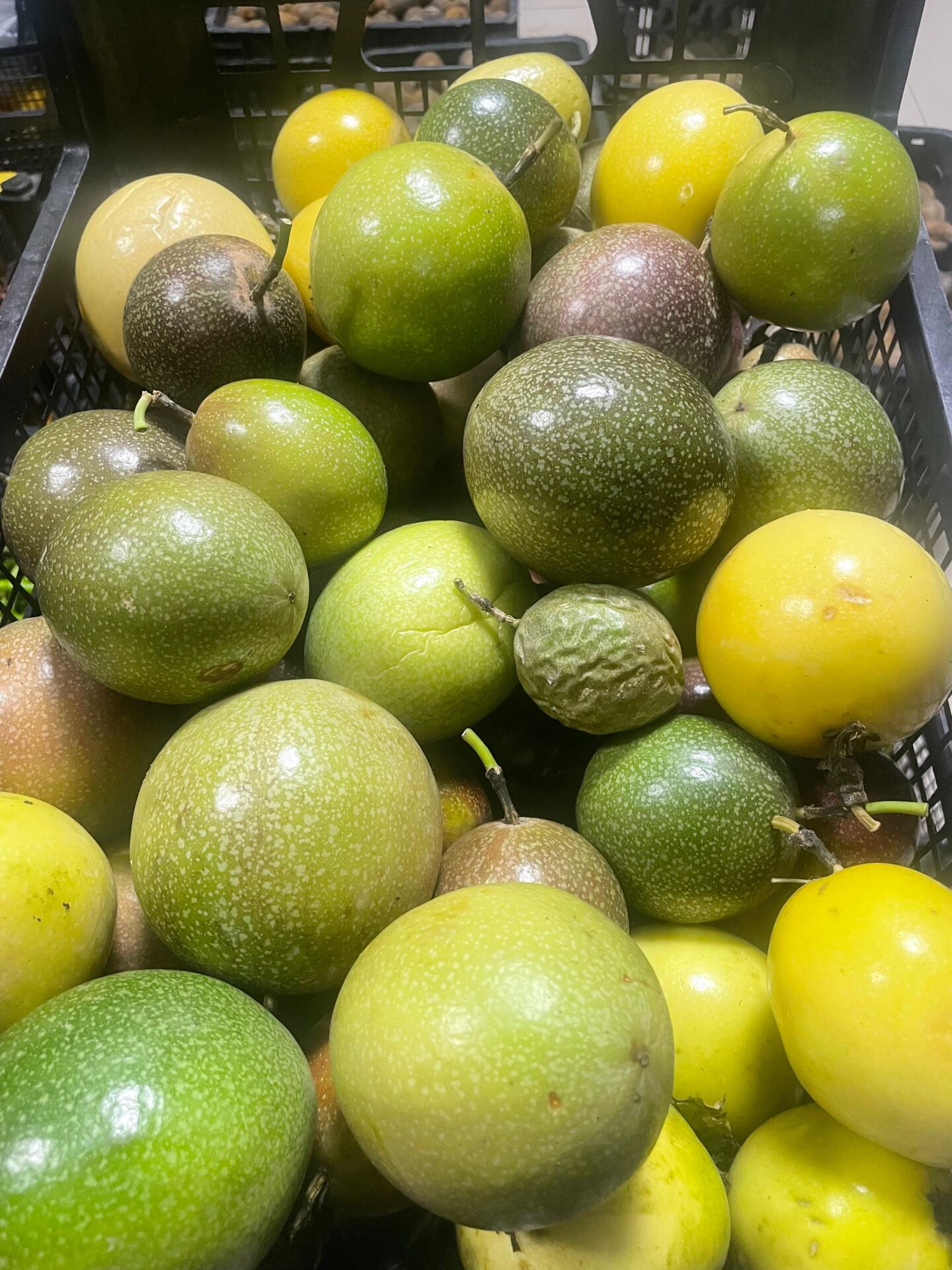 Pasiflora Çarkıfelek Meyvesi 1 Kg Meyve