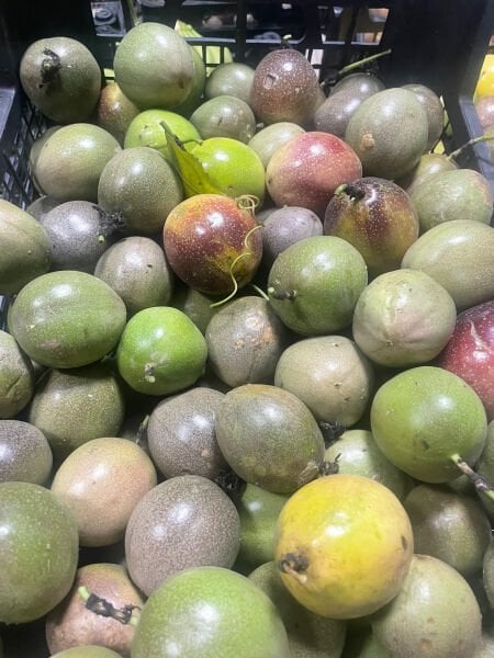 Pasiflora Çarkıfelek Meyvesi 1 Kg Meyve