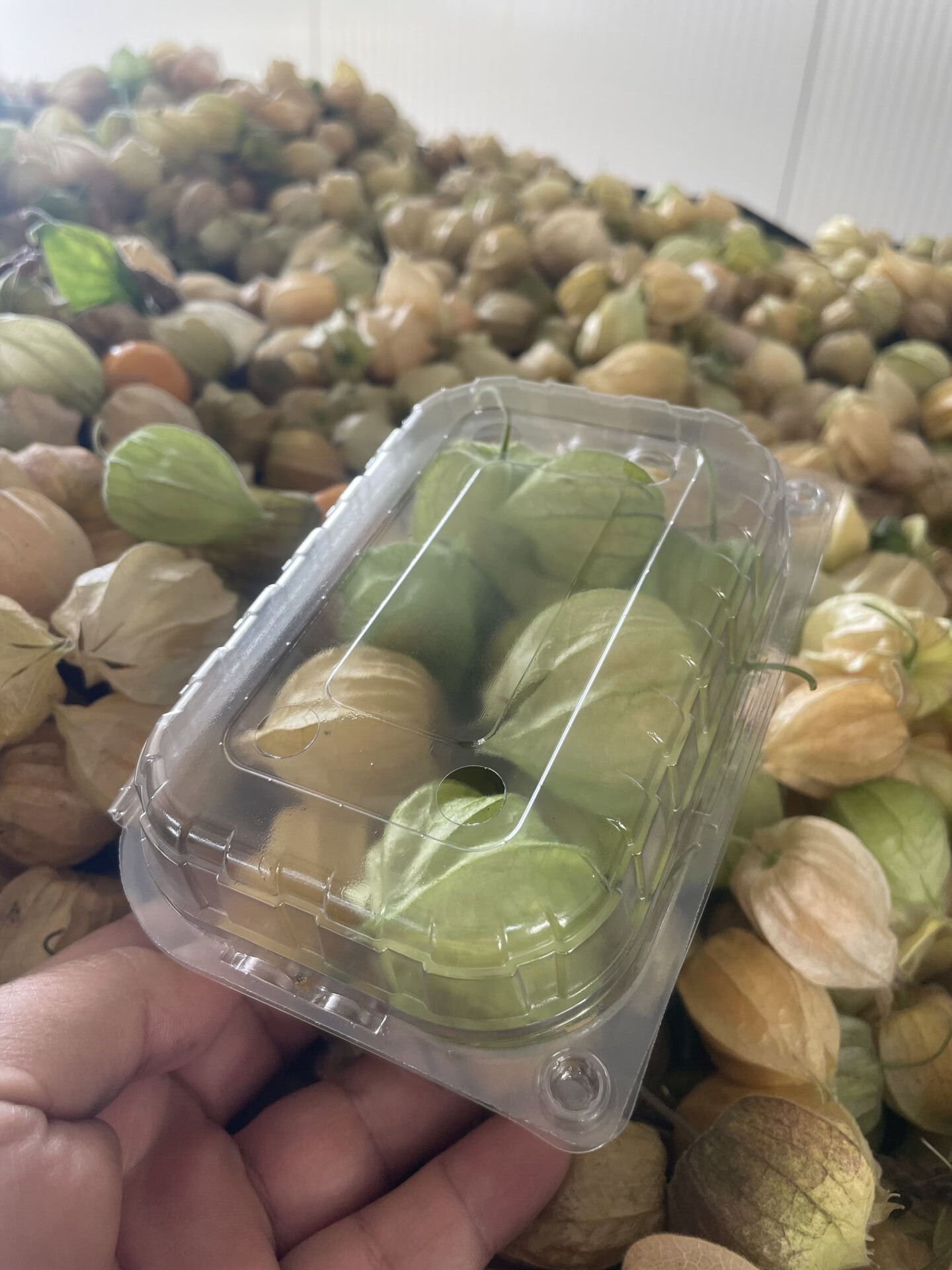 Altın Çilek (Yer Kirazı)   (100 gr - 115 gr) Arası KÜÇÜK KASE.