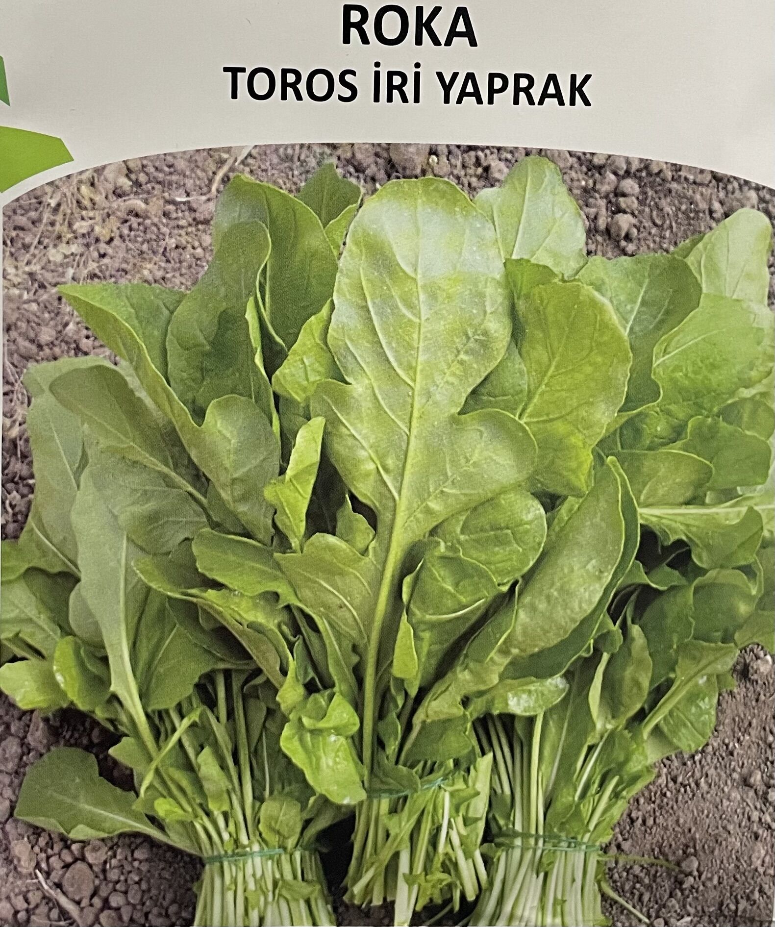 ROKA Toros İri Yaprak 25 Gr Tohum
