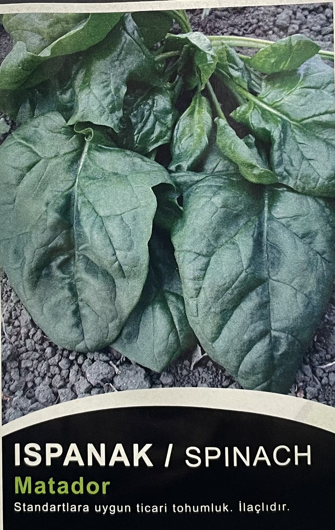 Ispanak Matador 50 GR Tohum
