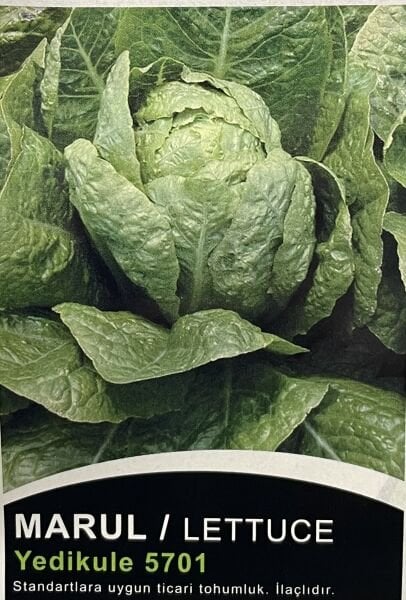 Marul Yedikule 10 Gr Tohum