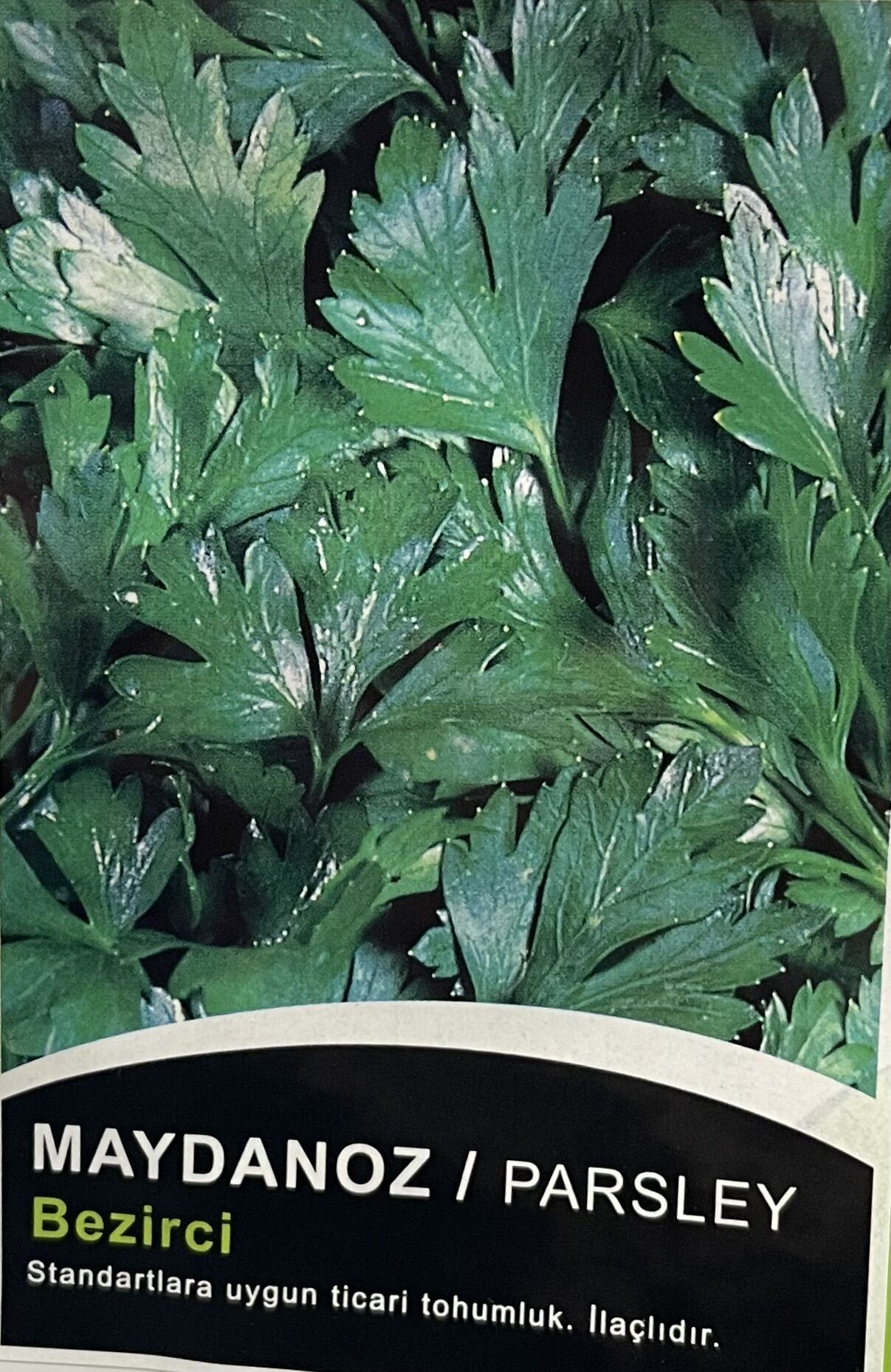 Maydanoz Bezirci  10 Gr Tohum