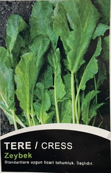 TERE Zeybek  10  Gr Tohum