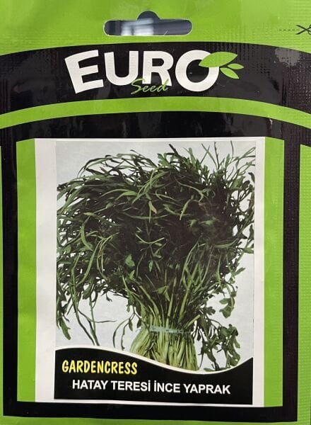 Hatay Teresi  İnce  Yaprak  10 Gr Tohum