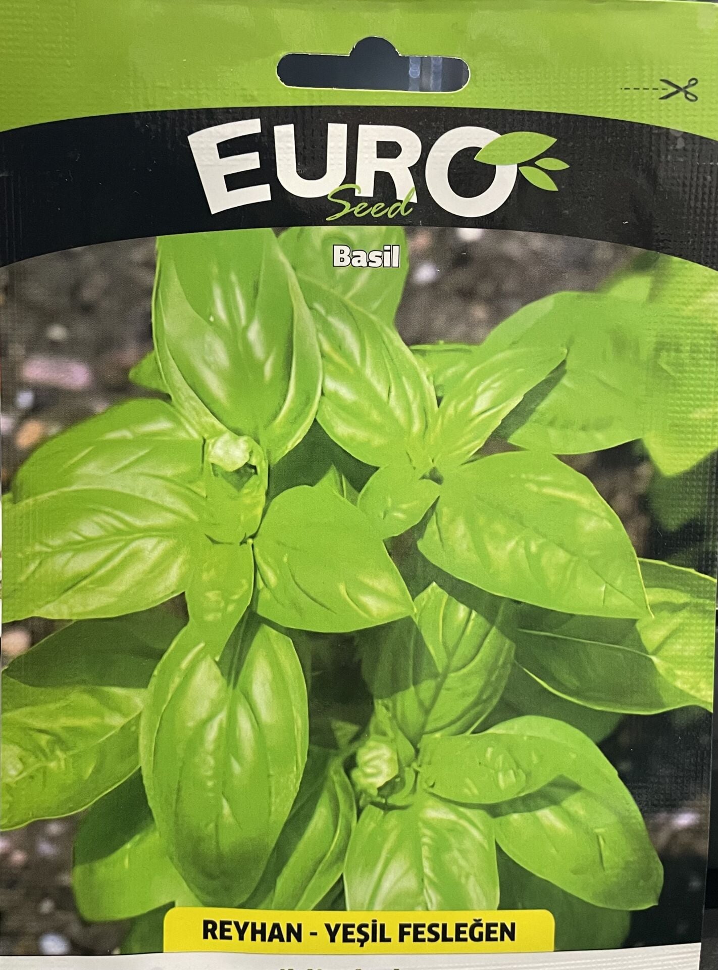 Yeşil Fesleğen REYHAN  1 Gr Tohum