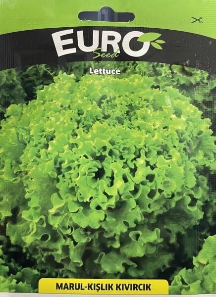 Marul Kışlık Kıvırcık  Tohumu 5 Gr Tohum